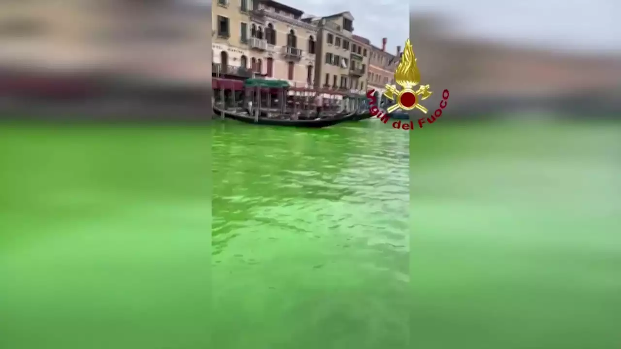 Part Of Green Venice Canal Mystery Solved - Videos from The Weather Channel