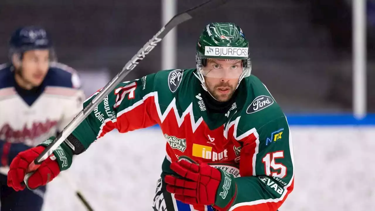 pinguins holen champions-league-sieger