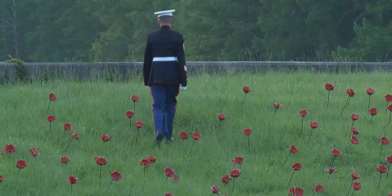 Alabama Poppy Project continues tradition of honoring fallen service members