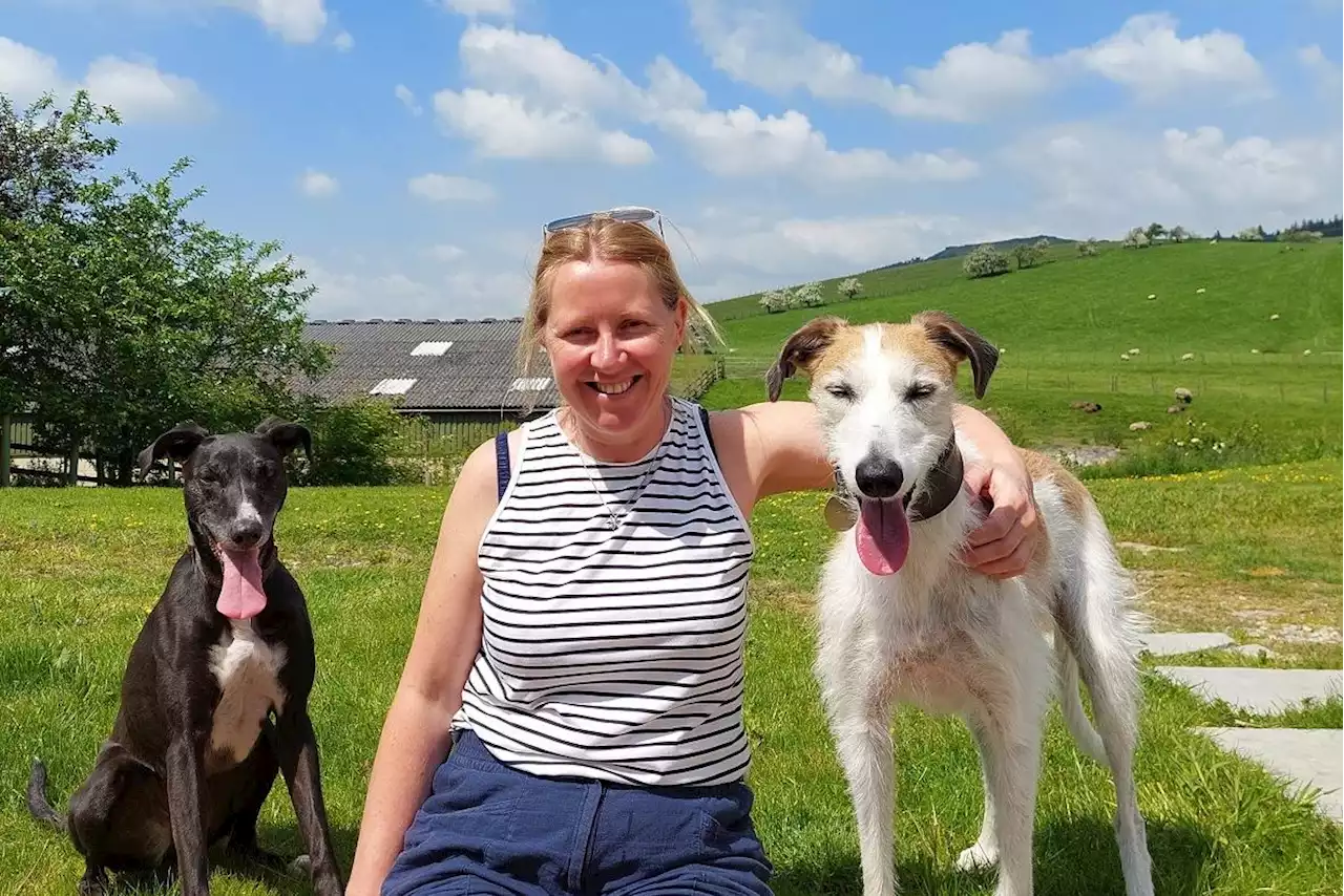 Yorkshire pet rescue at full capacity forced to turn down dogs for first time in nine years