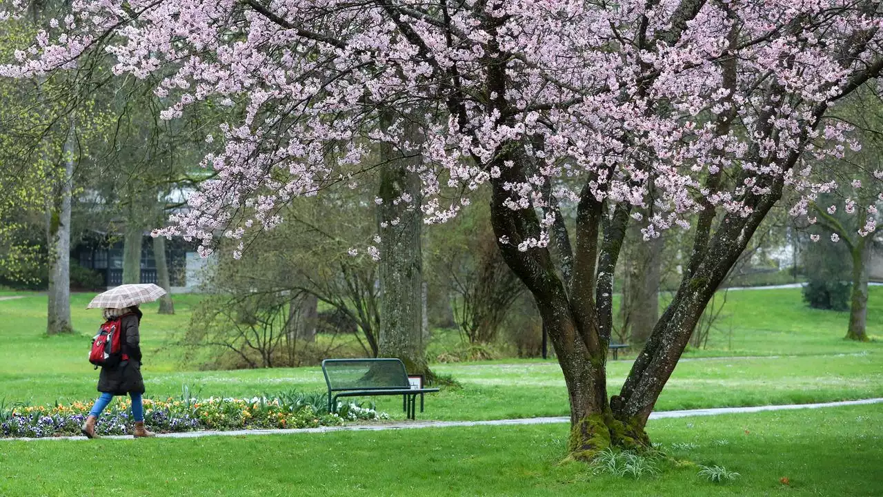 Wetterdienst-Bilanz: Frühling sehr nass und leicht zu mild