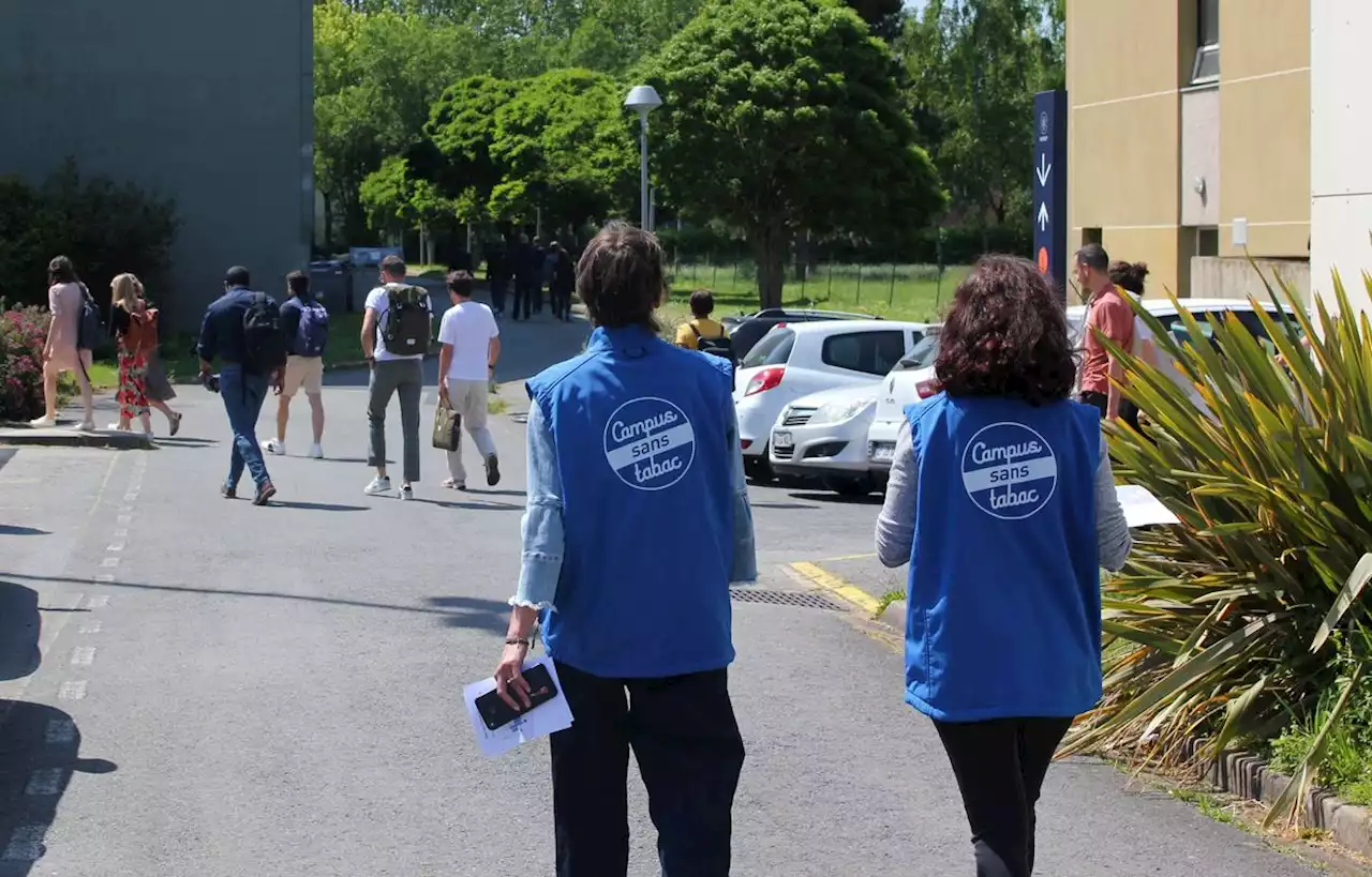 Bannie de ce campus, la cigarette a de moins en moins d’adeptes