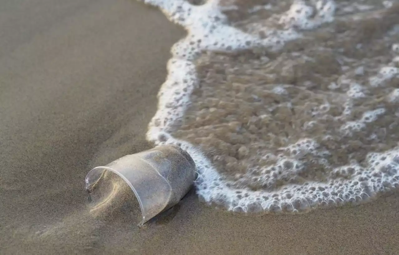 Pourquoi ces scientifiques ne veulent pas retirer le plastique des océans