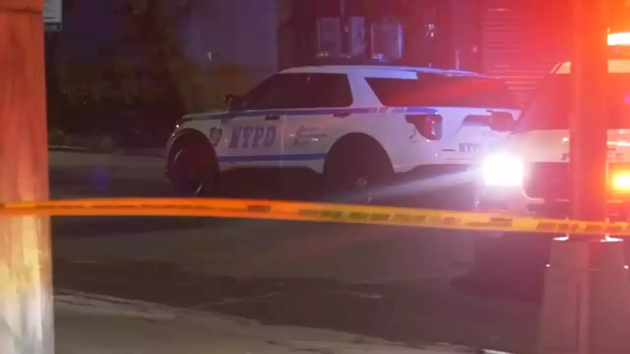 Man fatally shoots suspect who allegedly tried to rob him in Queens: Police