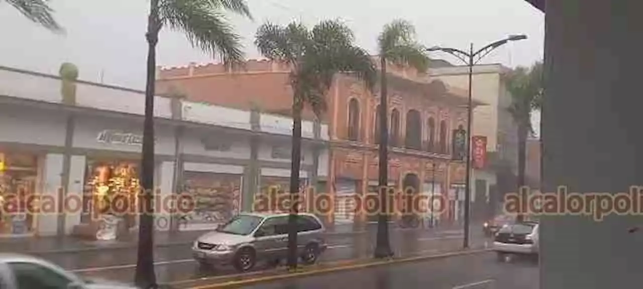 Sorprendió intensa lluvia, en Orizaba; tiró árboles