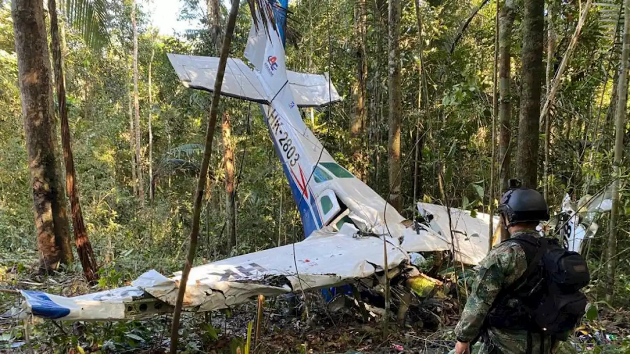 Flugzeugabsturz in Kolumbien: Neue Spuren von vermissten Kindern gefunden