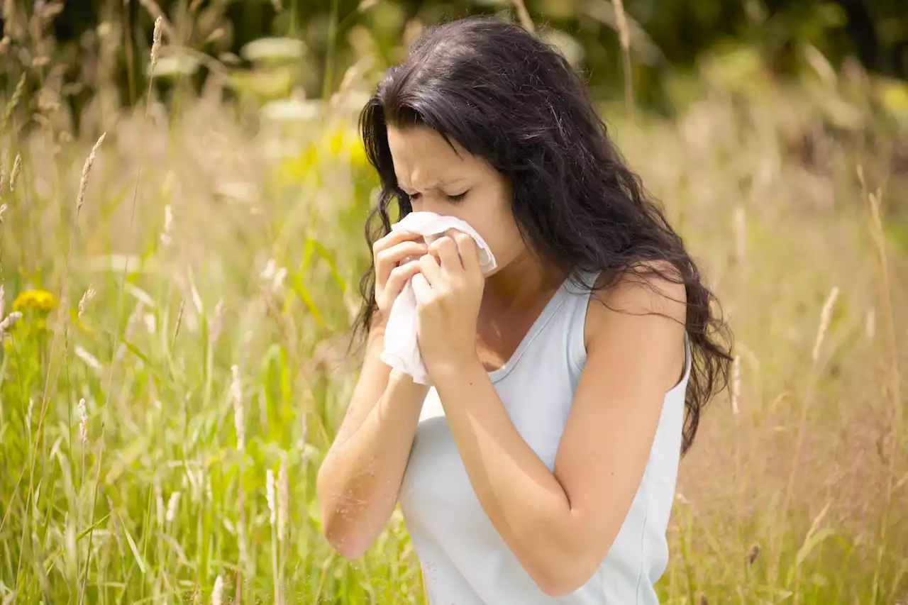 Niesen, Augenjucken, Luftnot – Allergiker spüren derzeit eine besonders hohe Pollenbelastung