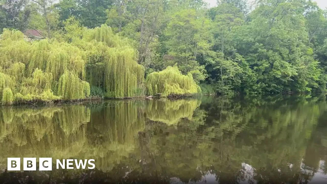 Knaresborough: Calls for polluted River Nidd to be designated bathing site