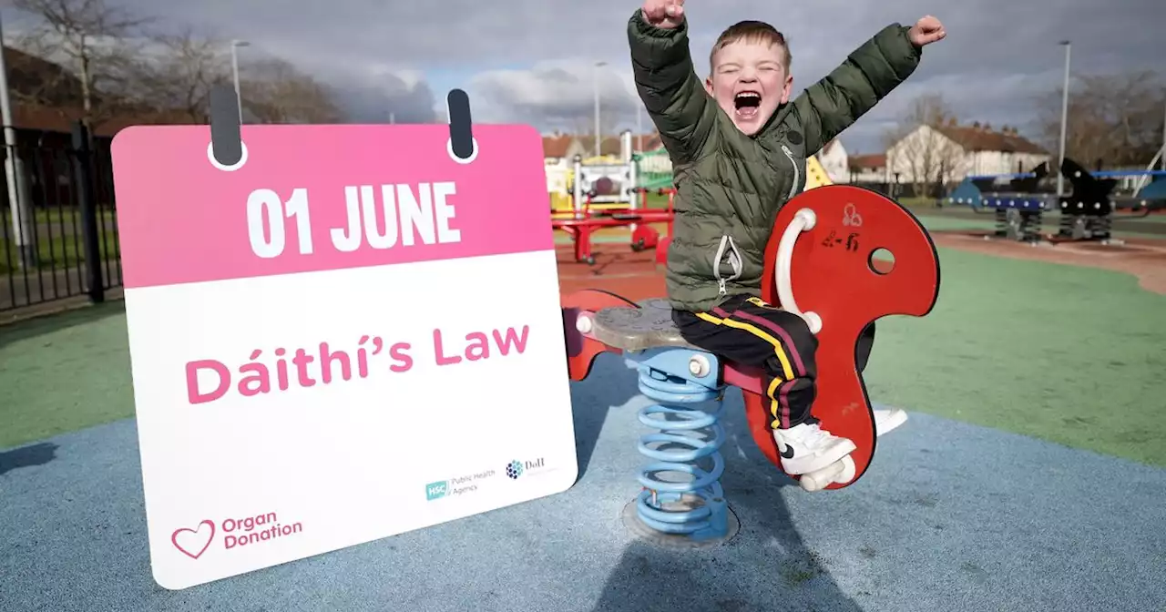 Details as new health law comes into effect in Northern Ireland