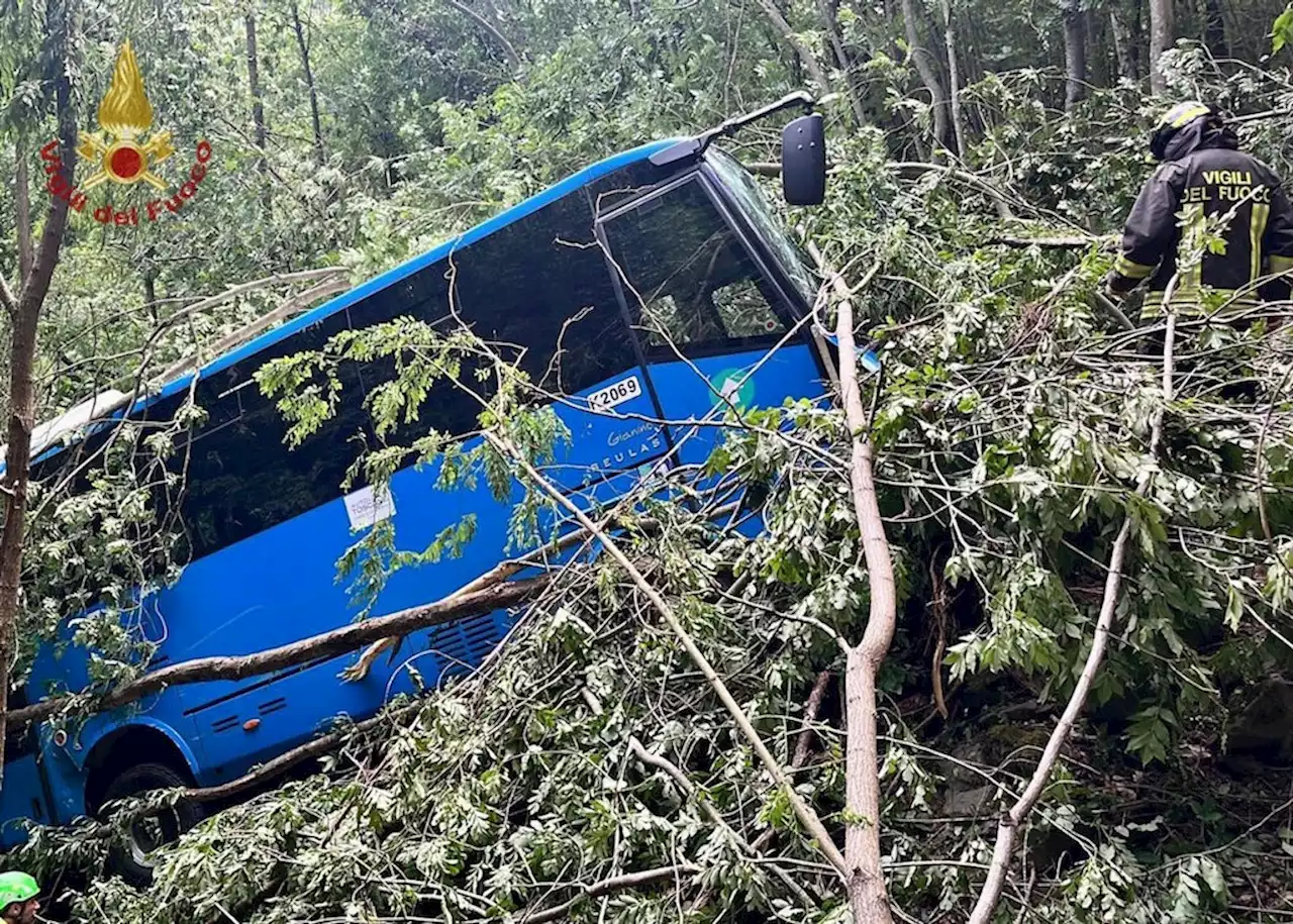 Italien: Schulbus stürzt 100 Meter in die Tiefe – alle Insassen überleben