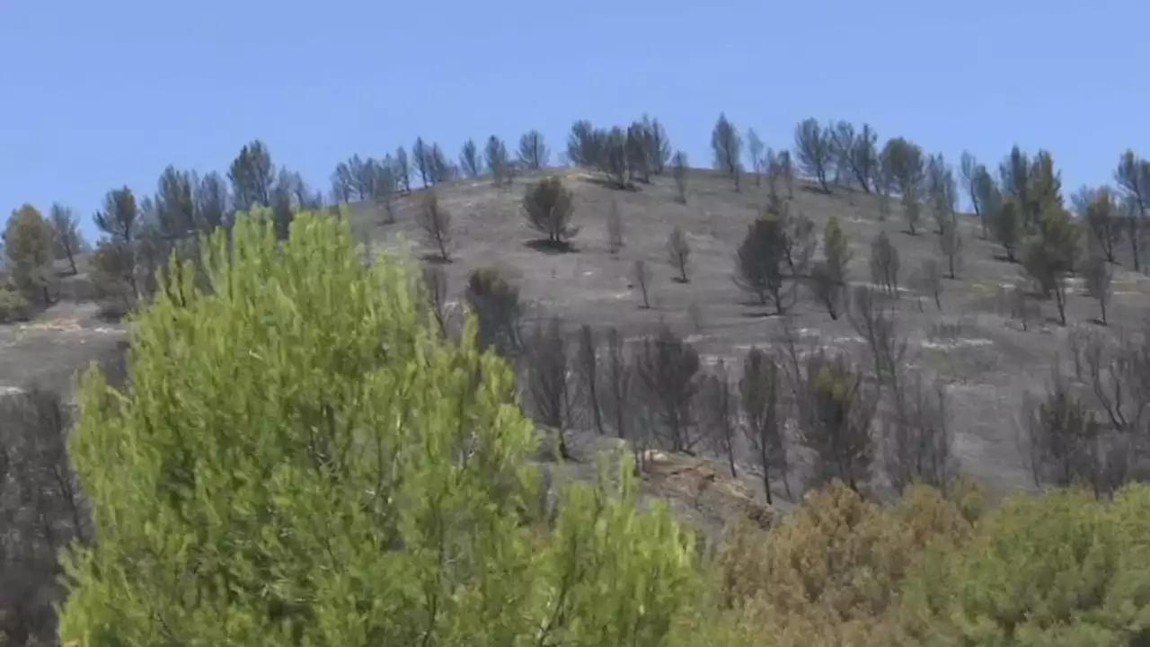 Bouches-du-Rhône: le massif forestier de la Montagnette fermé jusqu'au 30 juin 2024