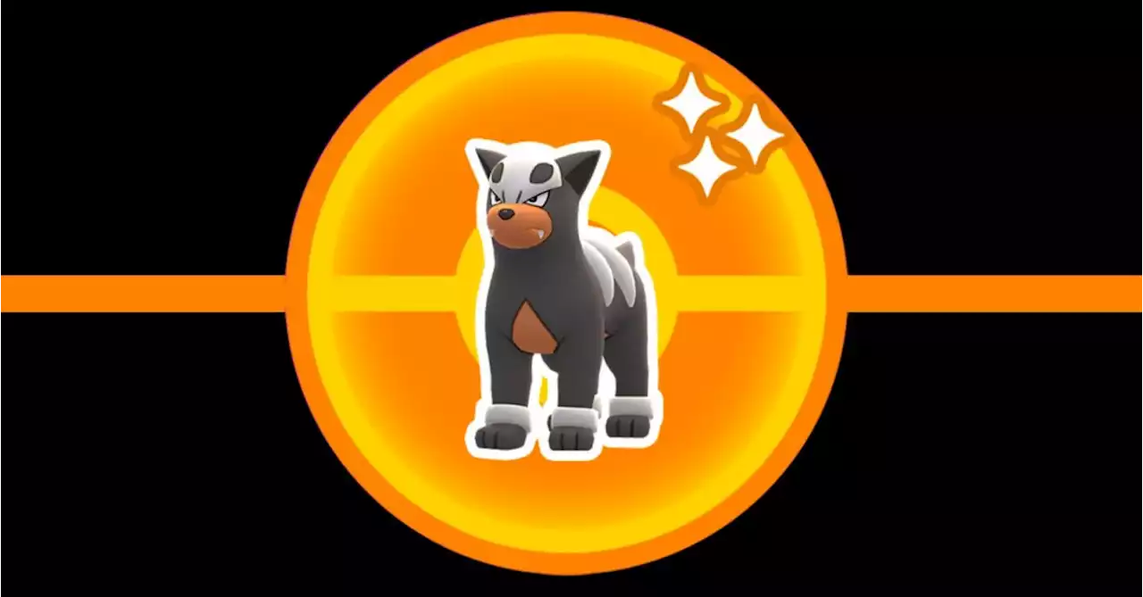 Tonight Is Houndour Spotlight Hour In Pokémon GO: May 2023