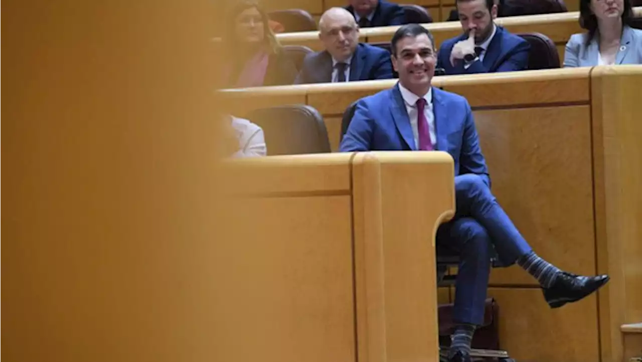 En directo | Sánchez se reúne con diputados y senadores socialistas para valorar el 28M