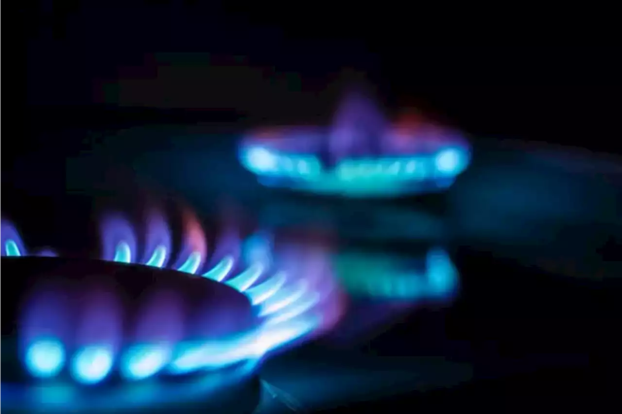 Fin du tarif r\u00e9glement\u00e9 du gaz : les subtilit\u00e9s du nouveau prix 'rep\u00e8re'