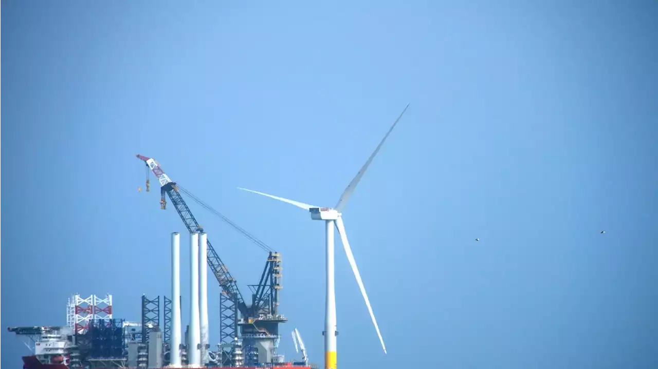 Irish-based offshore wind consultancy firm eyes expansion, plans to hire 500 engineers