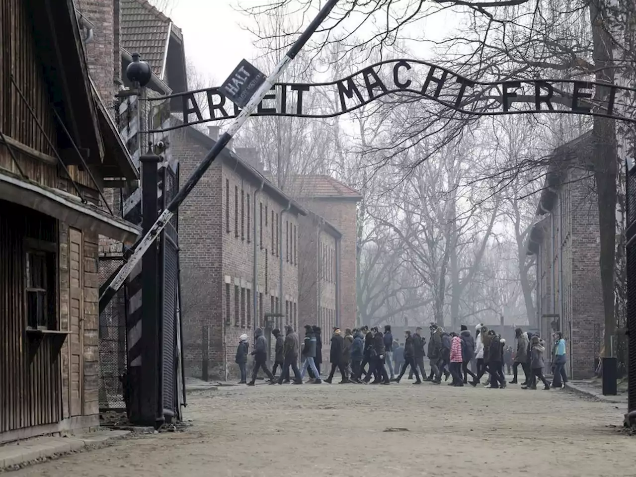 Auschwitz museum criticizes use of death camp in politics after ruling party uses it in political ad