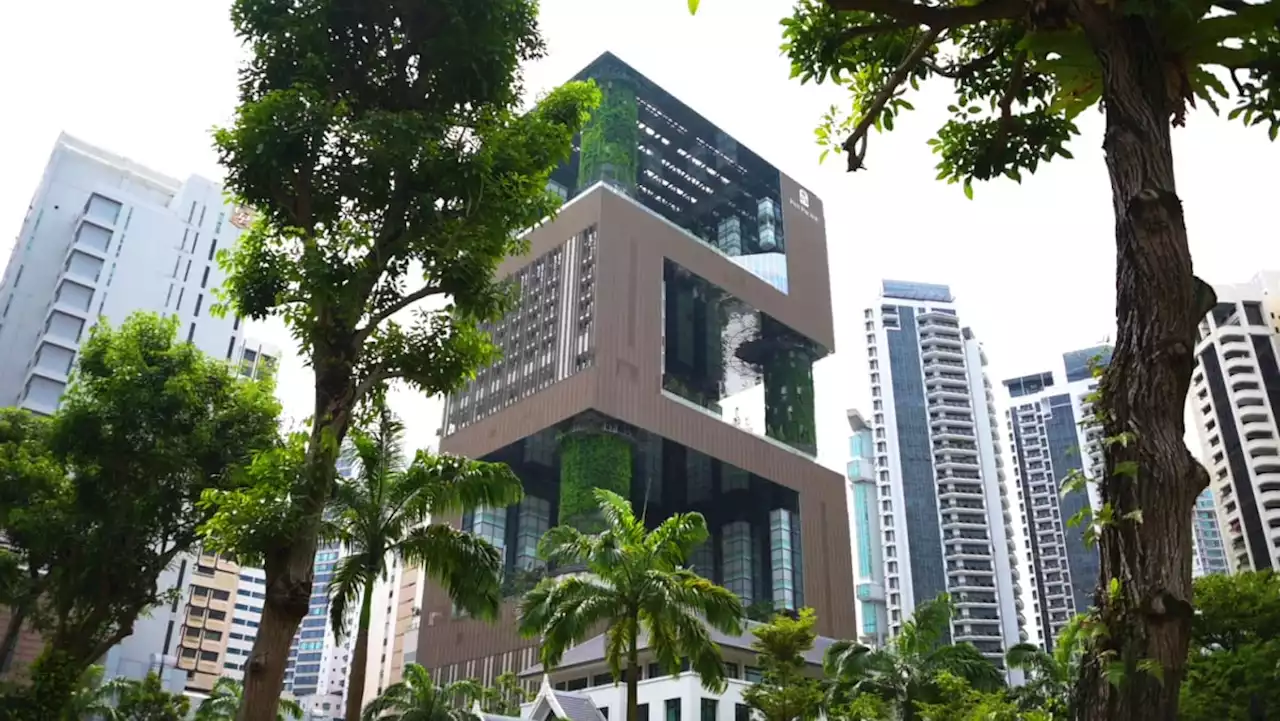 First look: Inside Pan Pacific Orchard, a new nature-inspired luxury hotel on Orchard Road