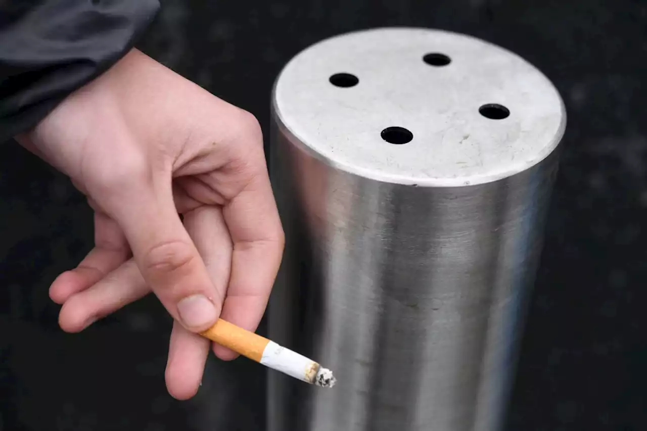 Journée mondiale sans tabac : la France compte 12 millions de fumeurs