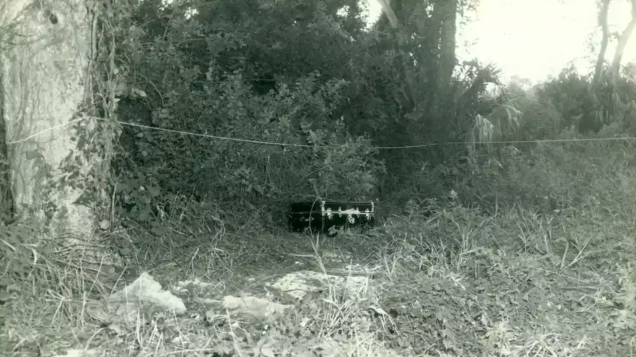 La 'dama del baúl' tiene nombre: la policía identificó el cadáver desconocido que encontró un día de Halloween hace 53 años gracias a las pruebas de ADN