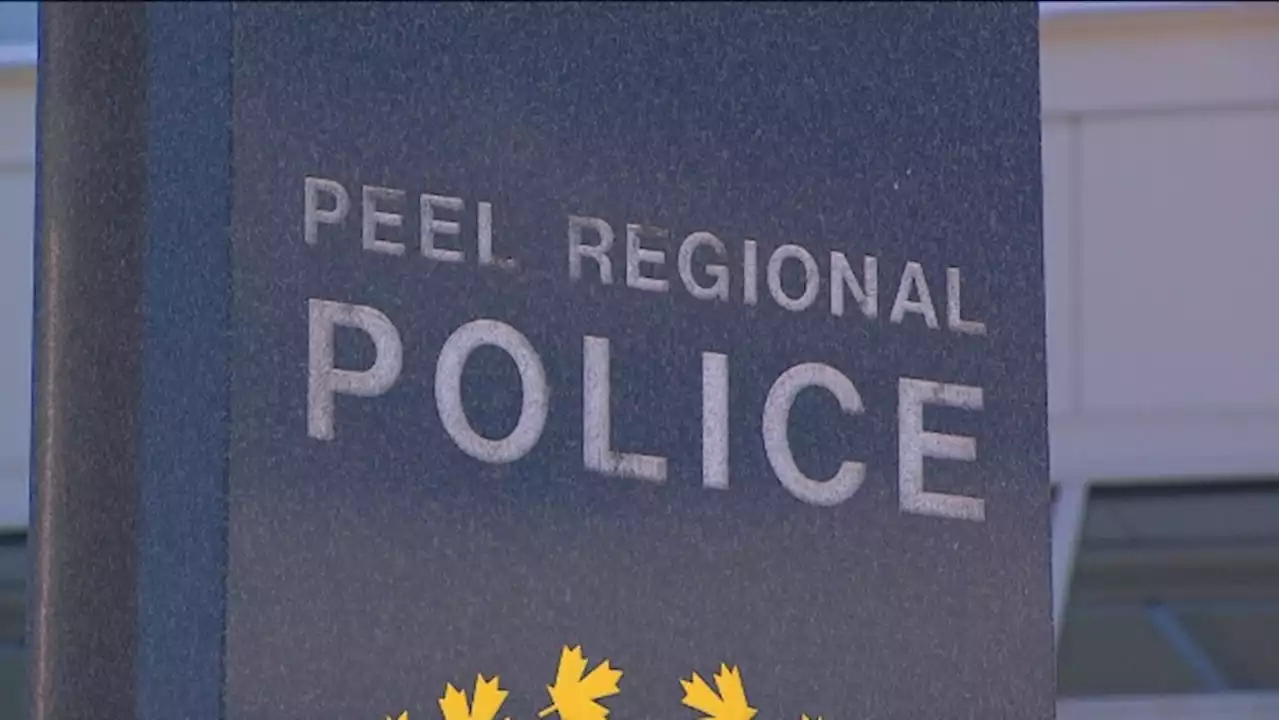 Peel police provide update on human trafficking investigation