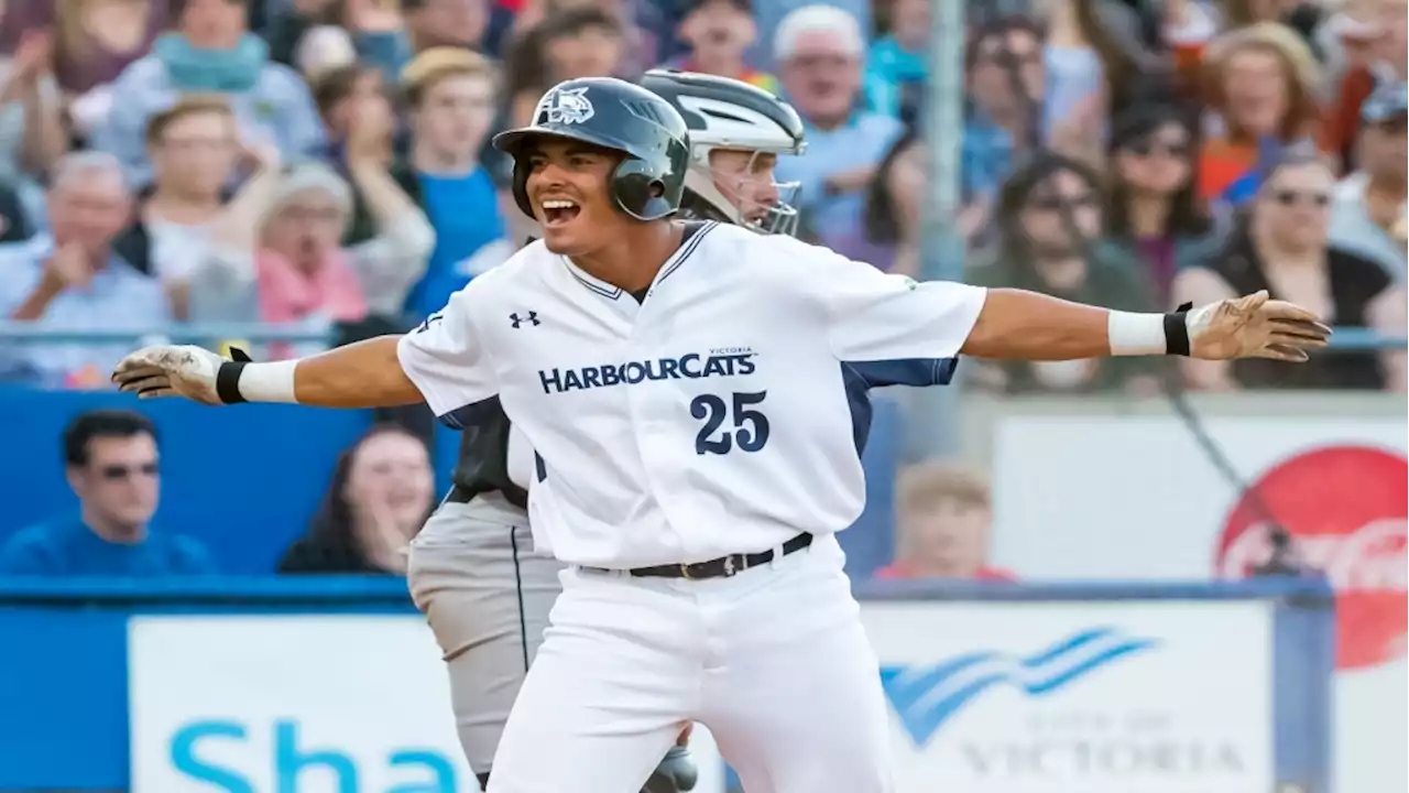 WIN tickets to the Harbourcats