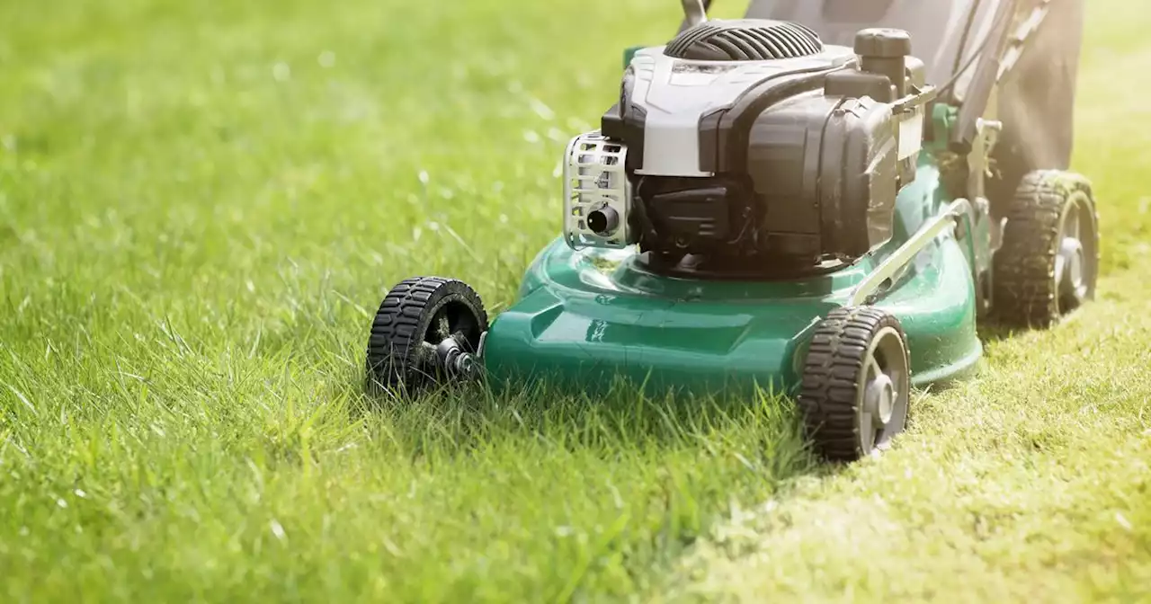 Gardening expert warns of mowing mistake that leaves lawns 'open to disease'