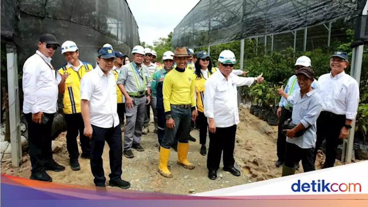 Tol IKN Bakalan Rindang, Pak Bas Siap Tanam 52.000 Pohon