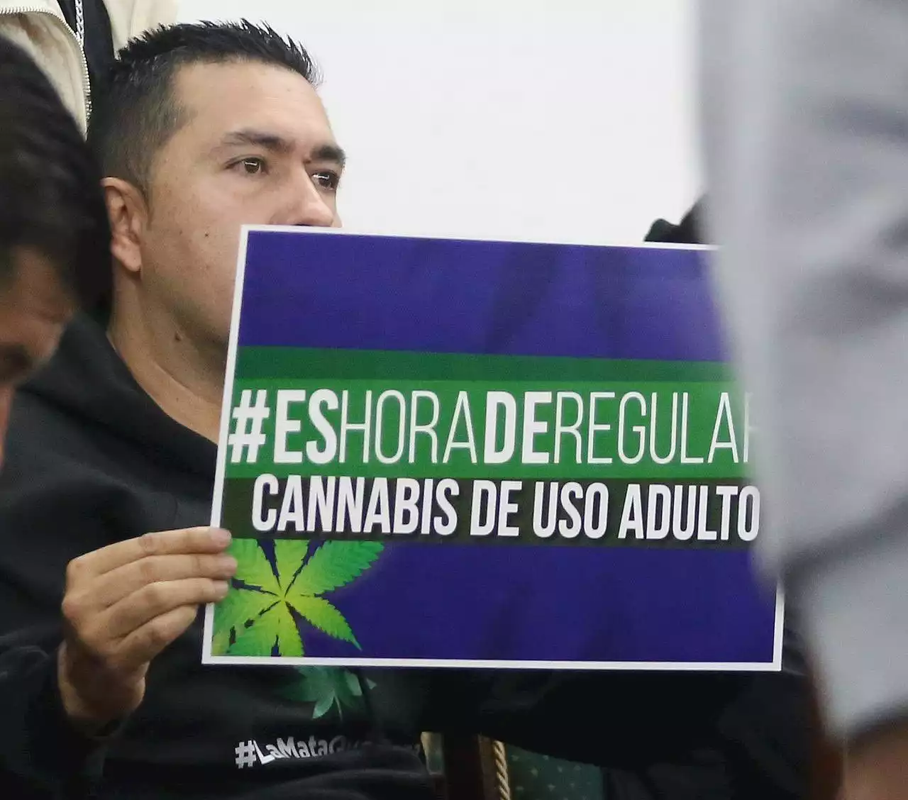 Rifirrafe en el Senado rompe quorum en debate sobre cannabis de uso adulto