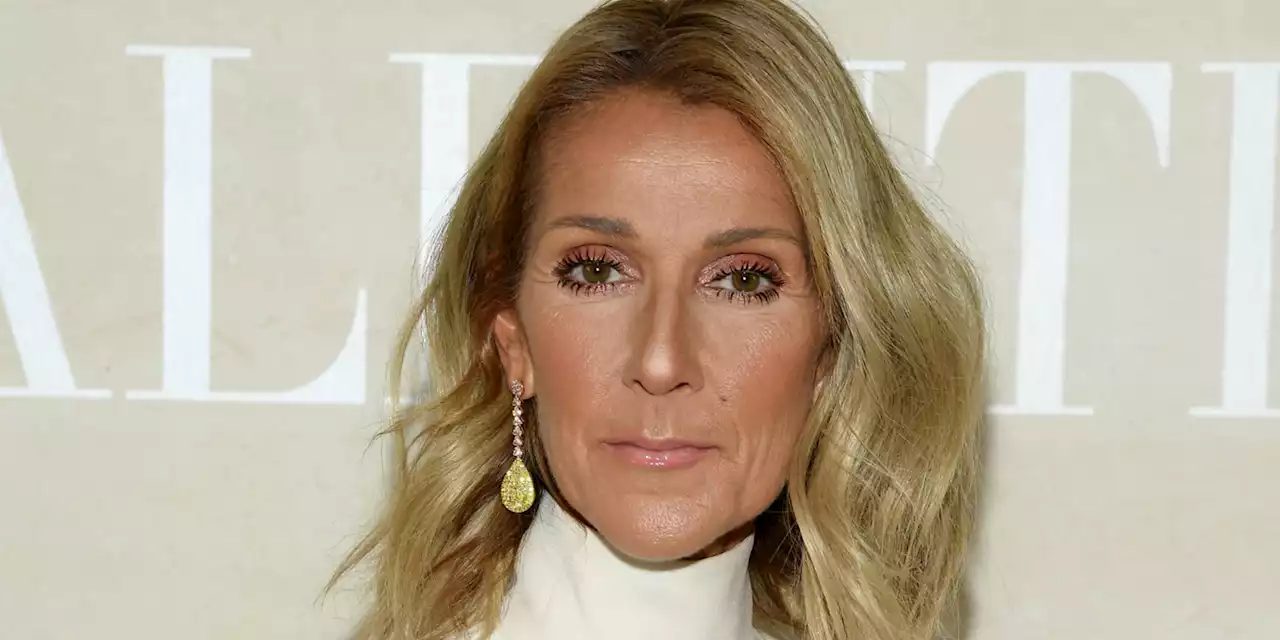 Céline Dion dans la tourmente : son fils René-Charles Angélil aurait coupé les ponts avec elle...