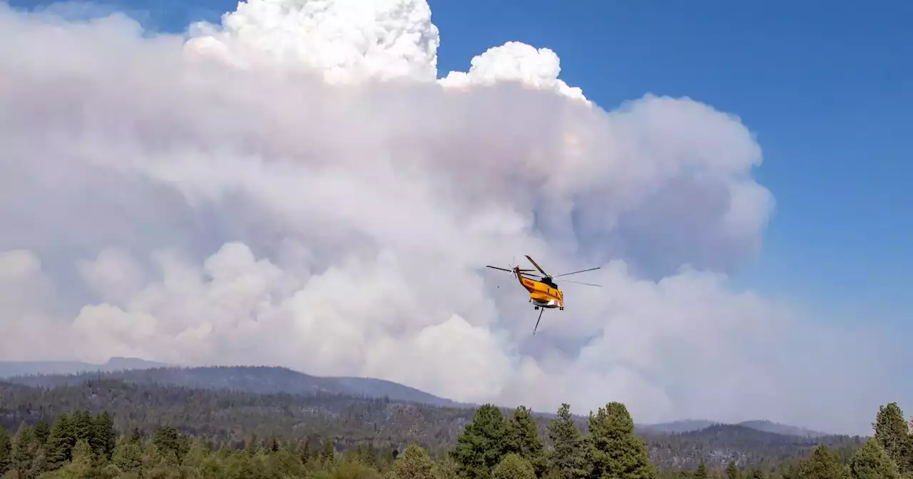 Incêndios: Governo está “a trabalhar afincadamente” para garantir 60 meios aéreos