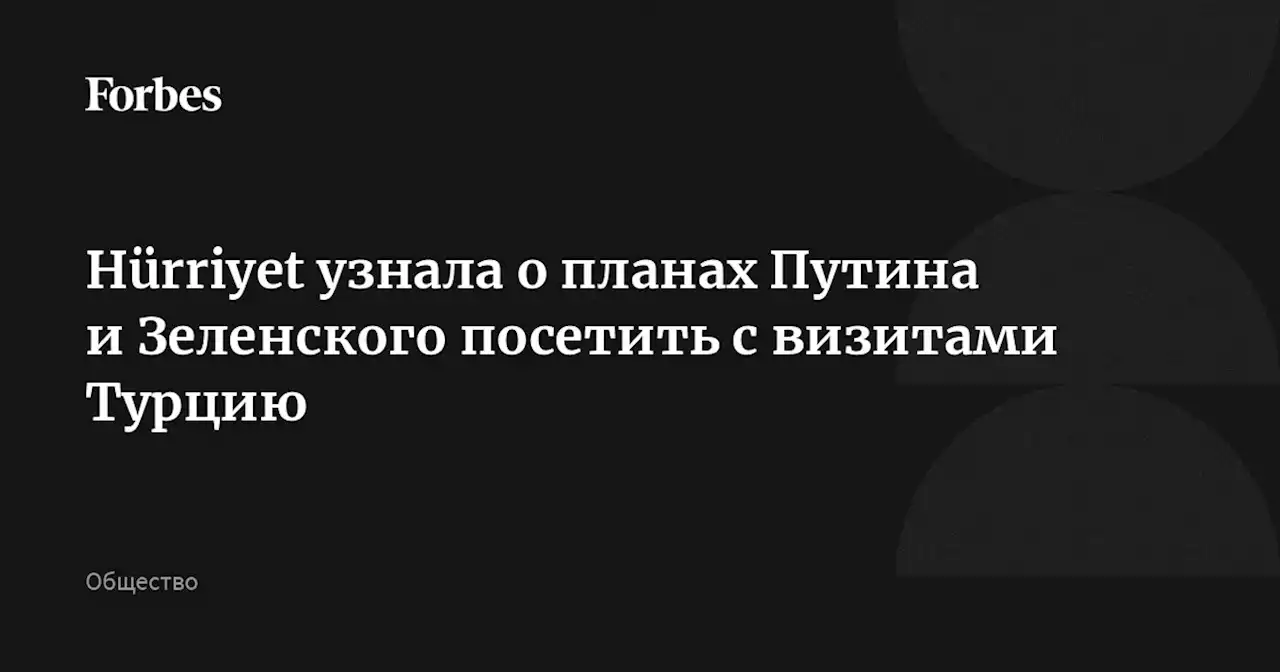 Hürriyet узнала о планах Путина и Зеленского посетить с визитами Турцию