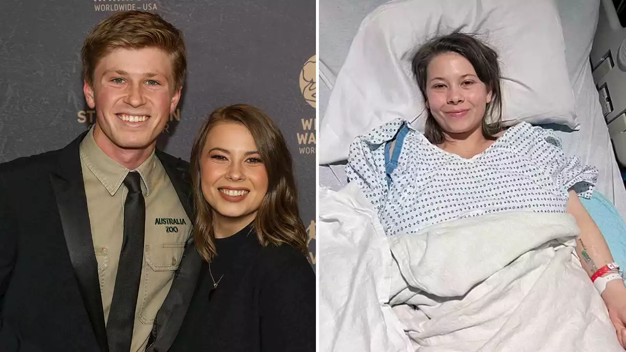 Bindi Irwin faced ‘hellish’ health battle, brother Robert said ‘was going downhill fast’