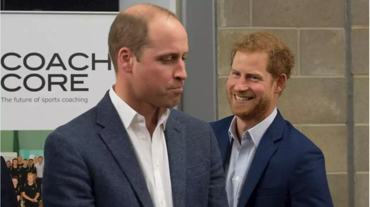 Prinz William: Altes Studentenhobby wurde dank Harry zur Lachnummer