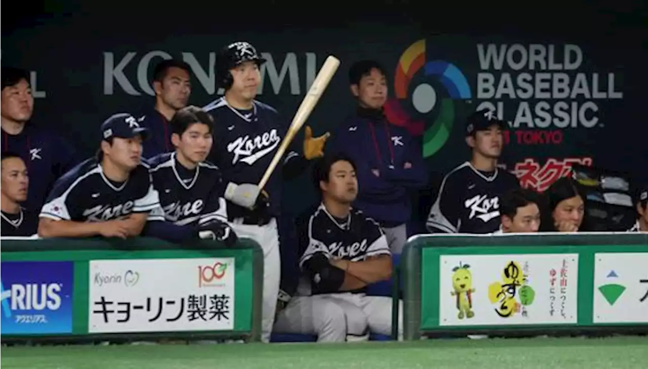 WBC 야구대표팀, 호주·일본과 시합 당일 밤샘 음주 의혹