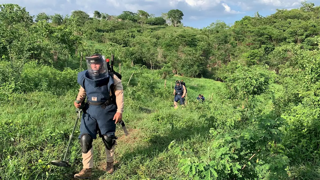 Minas terrestres fazem mais de 5 mil vítimas por ano no mundo