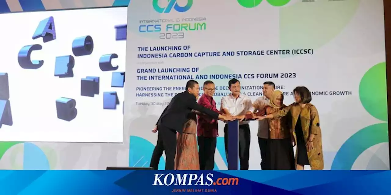 Luhut Targetkan RI Bisa jadi Hub Regional Penangkapan dan Penyimpanan Carbon