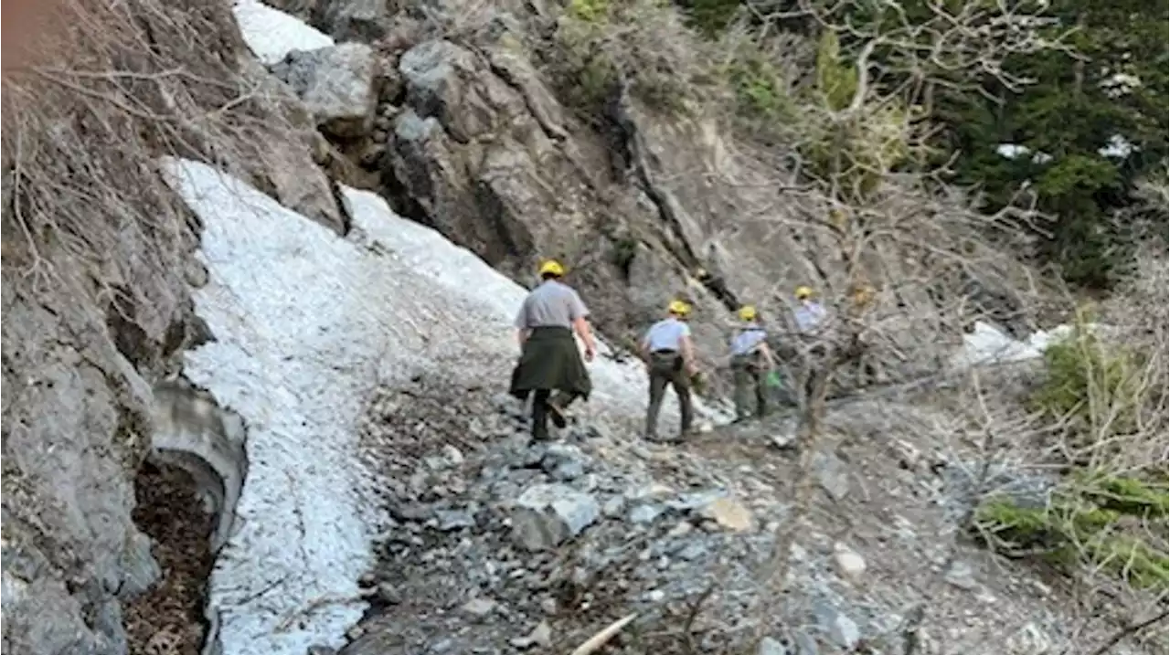 Popular Timpanogos Cave Trail partially closed after damage from winter avalanches