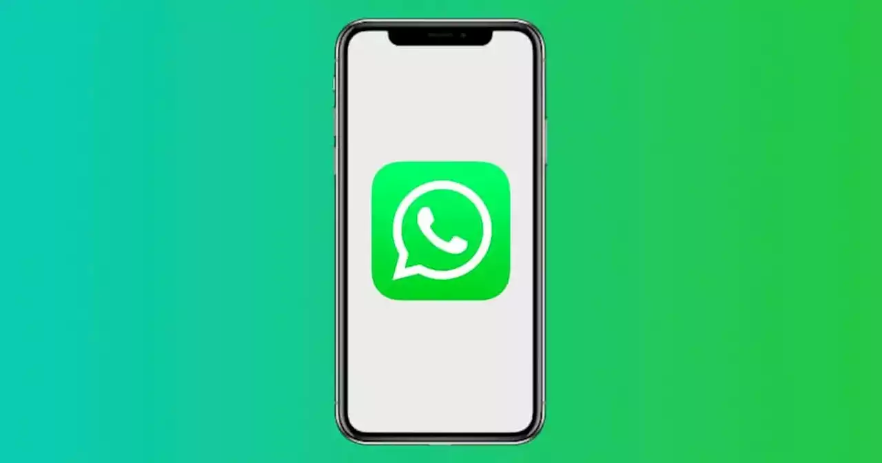 El “modo compañero” de WhatsApp llega a smartphones con iOS: qué es y cómo se usa | Tecnología | La Voz del Interior