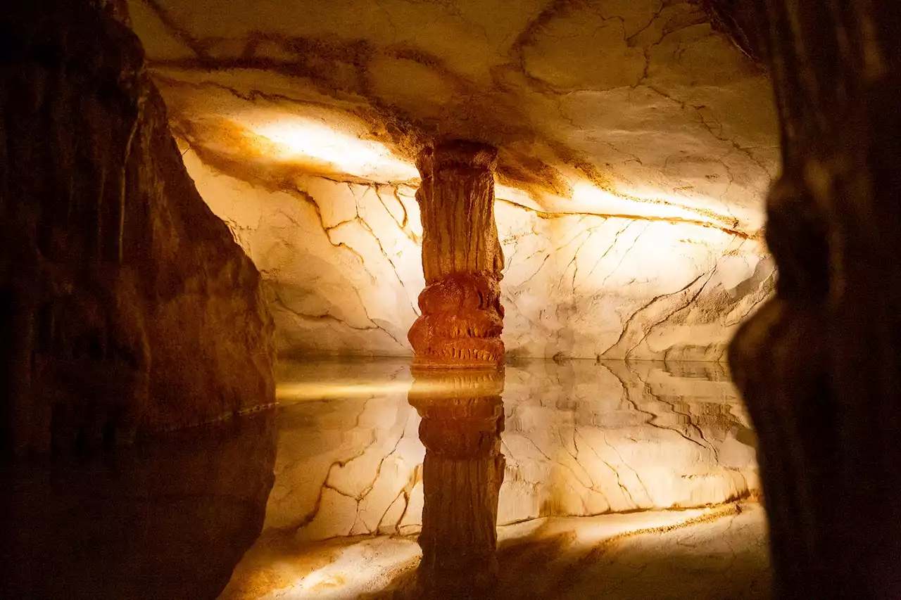 Un an après son ouverture, la grotte Cosquer franchit la barre des 800 000 visiteurs