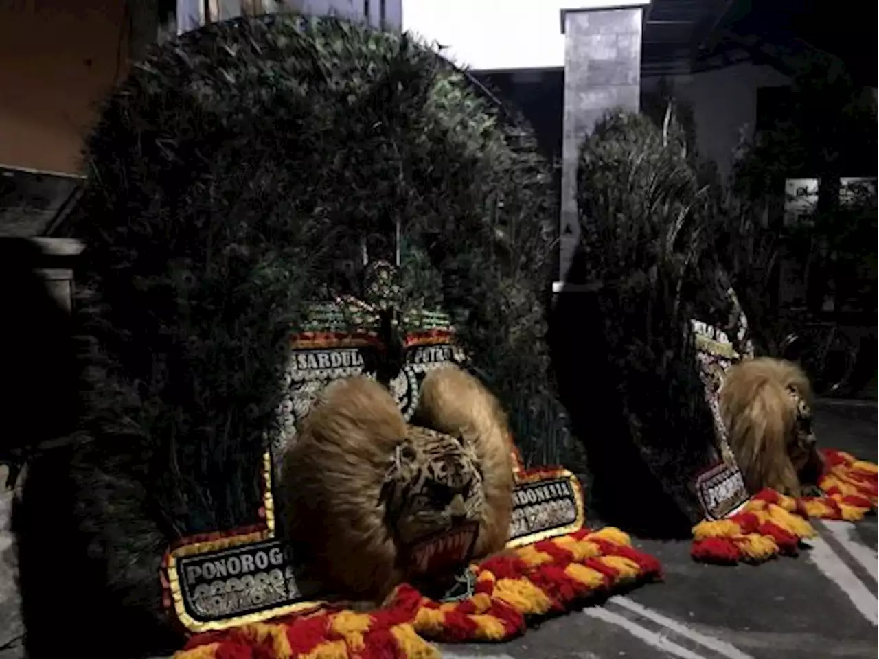 Lestarikan Budaya, Sukarelawan Ini Unjuk Budata Reog Ponorogo Bareng Komunitas Lokal