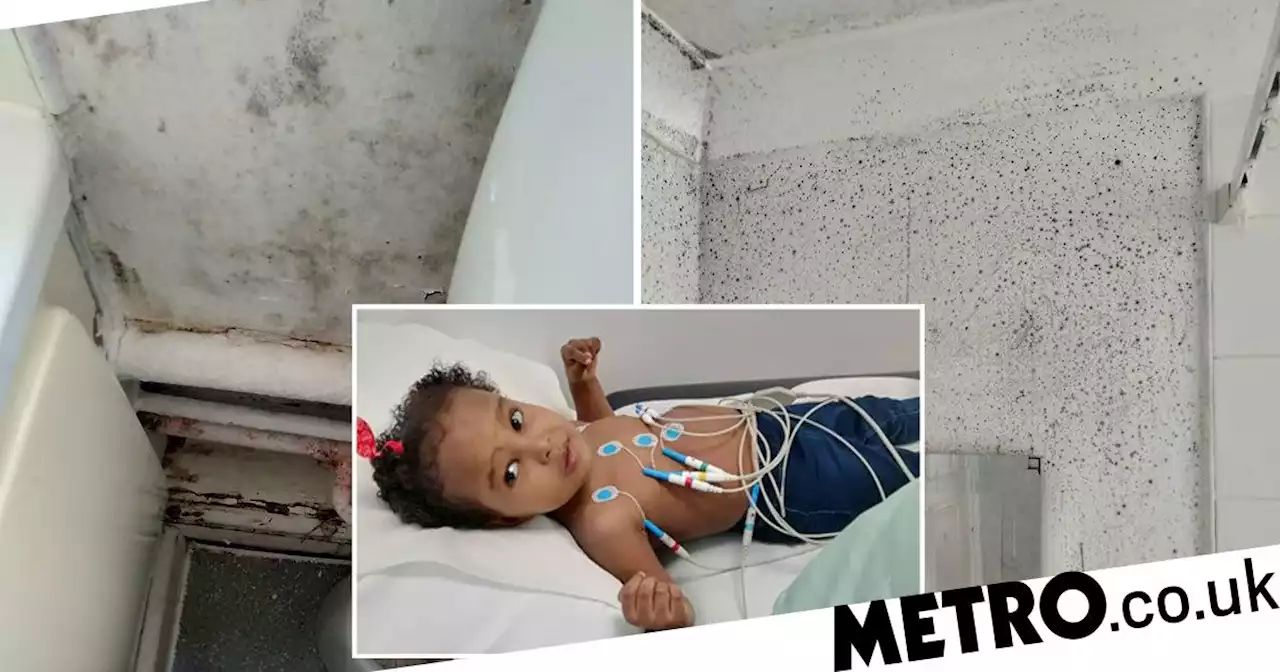 Girl, 4, struggles to breathe properly after living in flat overrun with mould