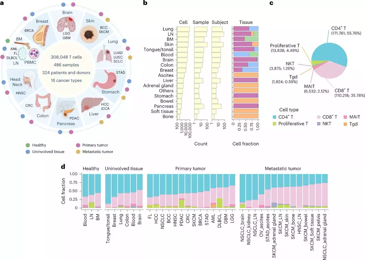 Pan-cancer T cell atlas links a cellular stress response state to immunotherapy resistance - Nature Medicine