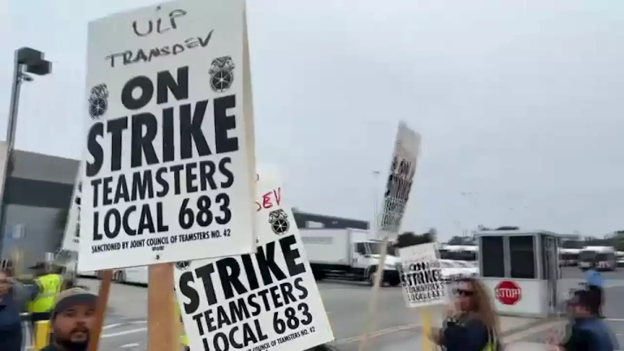 MTS Bus Driver Work Stoppage Impacts Minibus and Access Service as Strike Enters 3rd Week