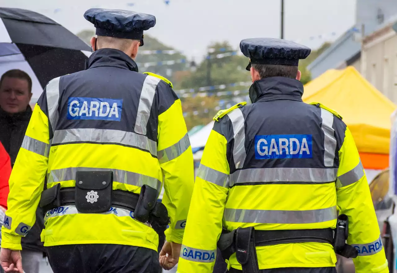 Teenager and young man stabbed in morning assault in County Kildare