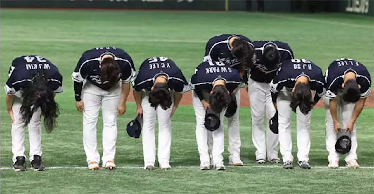 WBC 대표팀, 대회 기간 술판? KBO '사실 여부 확인 중'