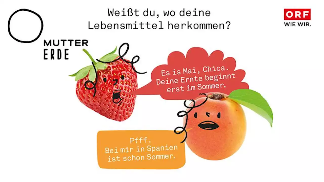 Insgesamt vier Millionen sahen ORF-MUTTER ERDE-Schwerpunkt „Klima und Ernährung“ - der.ORF.at