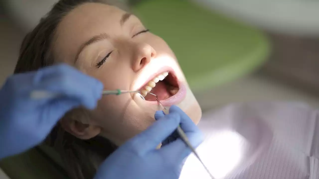 2 dentists, staffs will provide free dental care in Cumberland County on Friday