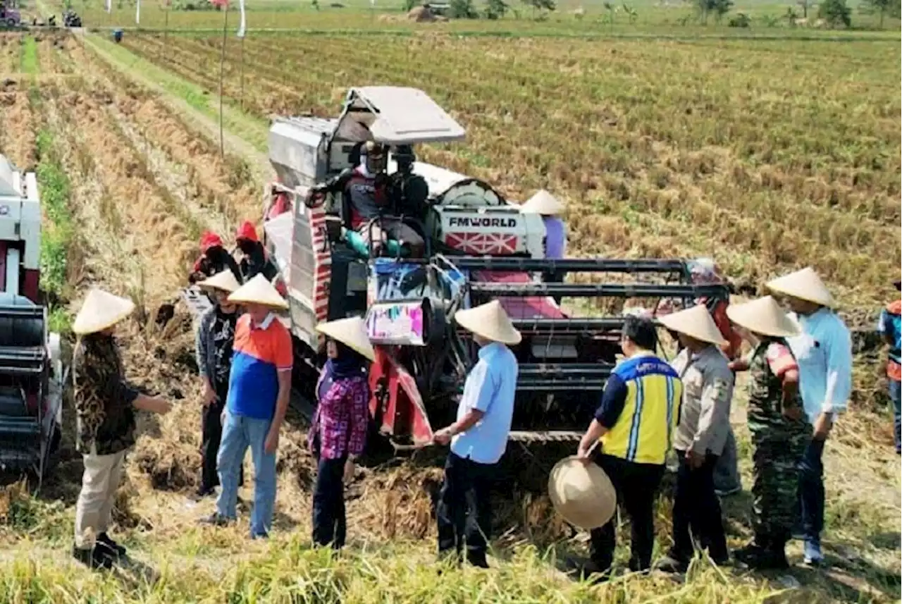 Penurunan Emisi Gas Rumah Kaca pada Demplot CSA Kementan 37 Persen |Republika Online