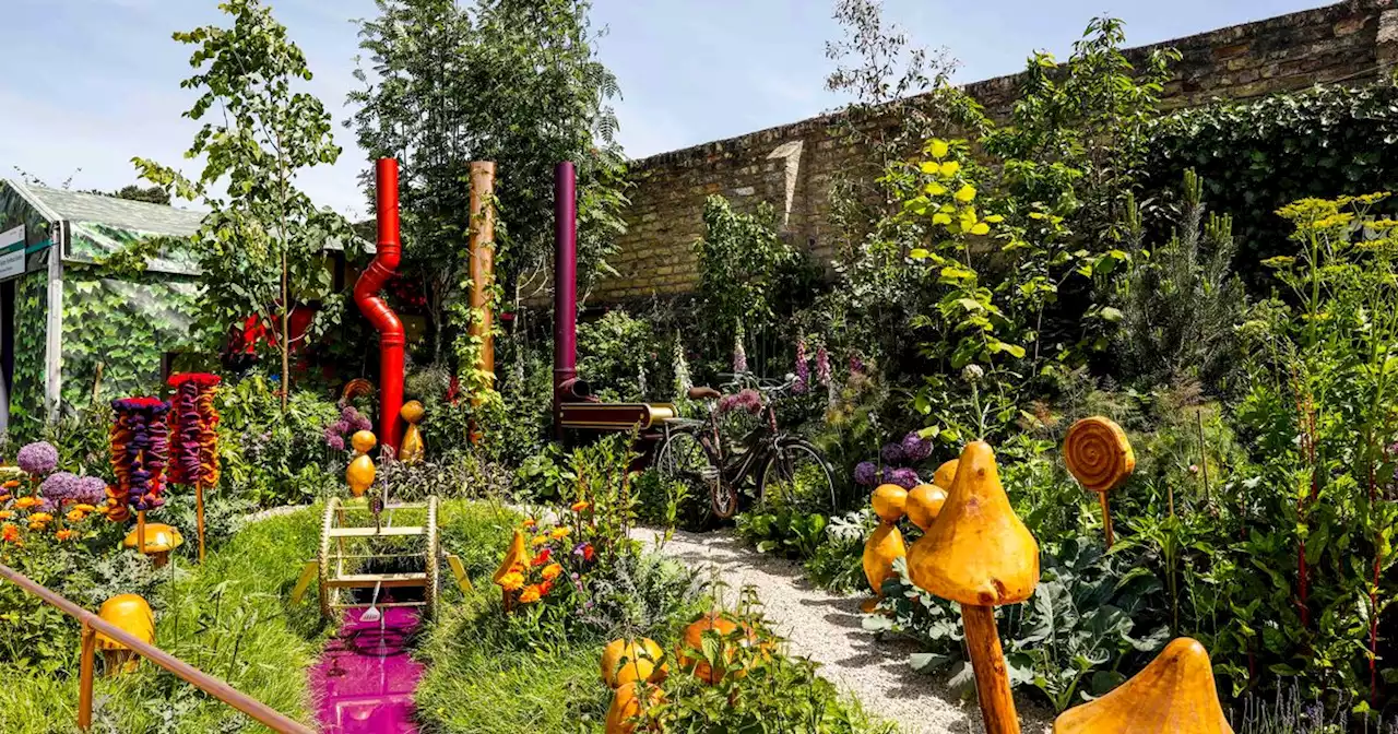 Bord Bia Bloom 2023, transport, parking, food, weather, stunning gardens & more