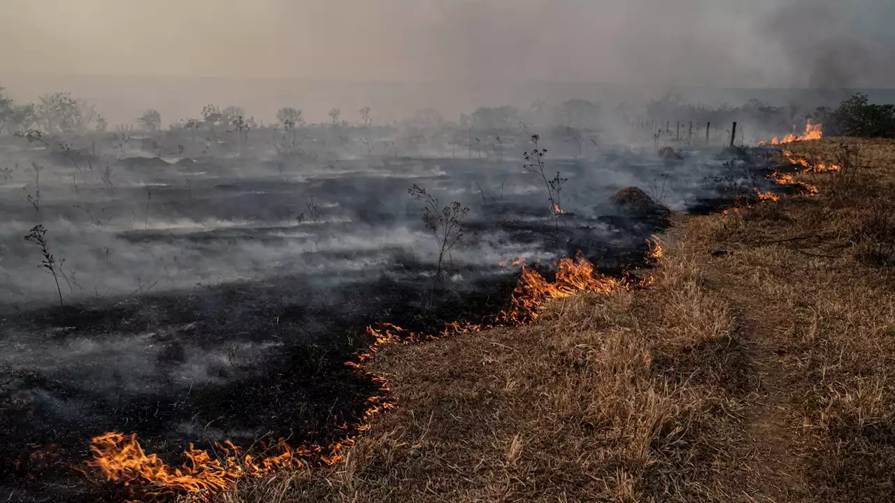 La humanidad ha cruzado la mayoría de las líneas rojas de la Tierra